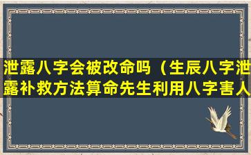 泄露八字会被改命吗（生辰八字泄露补救方法算命先生利用八字害人 🌺 ）